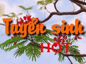 TUYỂN SINH - ĐÀO TẠO