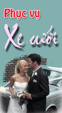 cho thue xe oto du lich , cho thue xe oto du lich tai ha noi